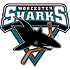 Worcester Sharks (Usa)