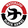 Waterloo Black Hawks (Usa)
