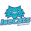 Worcester IceCats (Usa)