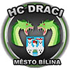 HC Draci Bilina (RTch)