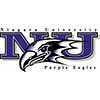 Niagara University Purple Eagles (Usa)