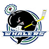 Plymouth Whalers (Usa)