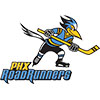 Phoenix Roadrunners (Usa)