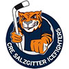 Salzgitter Icefighters (All)