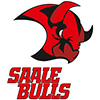 Saale Bulls Halle (All)