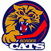Port Huron Border Cats (Usa)
