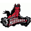 New Mexico Mustangs (Usa)