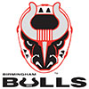 Birmingham Bulls (Usa)