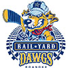 Roanoke Rail Yard Dawgs (Usa)