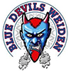 Blue Devils Weiden EV (All)