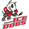Niagara IceDogs (Can)
