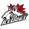 Mississauga IceDogs (Can)