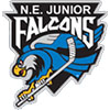 New England Jr. Falcons (Usa)
