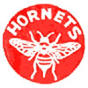 Pittsburgh Hornets (Usa)