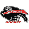 UFA Bisons (Can)