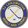 TJ Lokomotiva Vesel nad Luznici (RTch)