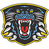 Nottingham Panthers (Uk)