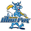 Herning Blue Fox (Dan)-2
