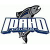 Idaho Steelheads (Usa)