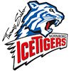 Nrnberg Ice Tigers (All)