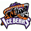 Knoxville Ice Bears (Usa)