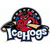 Rockford IceHogs (Usa)