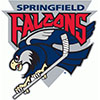 Springfield Falcons (Usa)