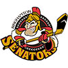 Binghamton Senators (Usa)