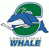 Connecticut Whale (Usa)