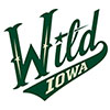 Iowa Wild (Usa)