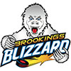 Brookings Blizzard (Usa)