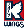 Kalamazoo Jr. K-Wings (Usa)