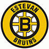 Estevan Bruins (Can)