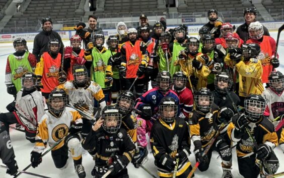 Stage printemps 2026